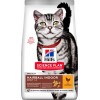Hill's Science Plan Adult Hairball & Indoor Dry Food for Adult Cats with Chicken 300gr