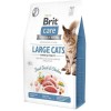 Brit Large Cats Power&Vitality Dry Food for Adult Cats with Chicken / Duck 2kg