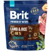 Brit Premium By Nature Adult Sensitive 1kg Dry Food for Adult Dogs with Lamb and Rice
