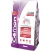 Gemon Mini Adult 3kg Dry Food for Adult Dogs of Small Breeds with Rice and Salmon